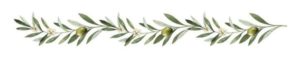 huile-olive-ziane-bio-zarzis-tunisie